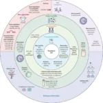 Medicina de precizie în sindromul antifosfolipidic: noi perspective bazate pe AI și profilare moleculară