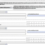 Cum se va face plata online la ANAF pentru asigurarea de sănătate de la 1 septembrie 2025