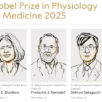 Premiul Nobel pentru Medicină 2025: descoperiri esențiale despre toleranța imună periferică