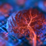 AI în AVC acut: de la analiza imaginilor la sprijinirea deciziilor clinice
